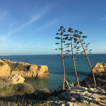Camino Cerro Da Aguia
